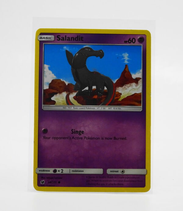 Salandit 46/111