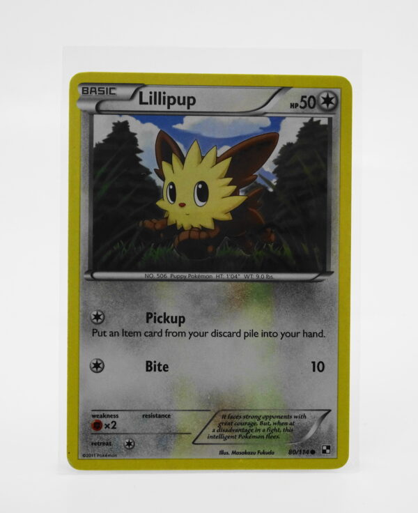 Lillipup 80/114