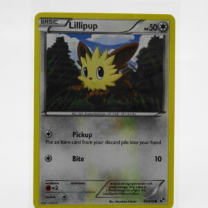 Lillipup 80/114