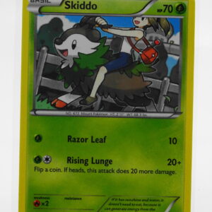 Skiddo 16/162