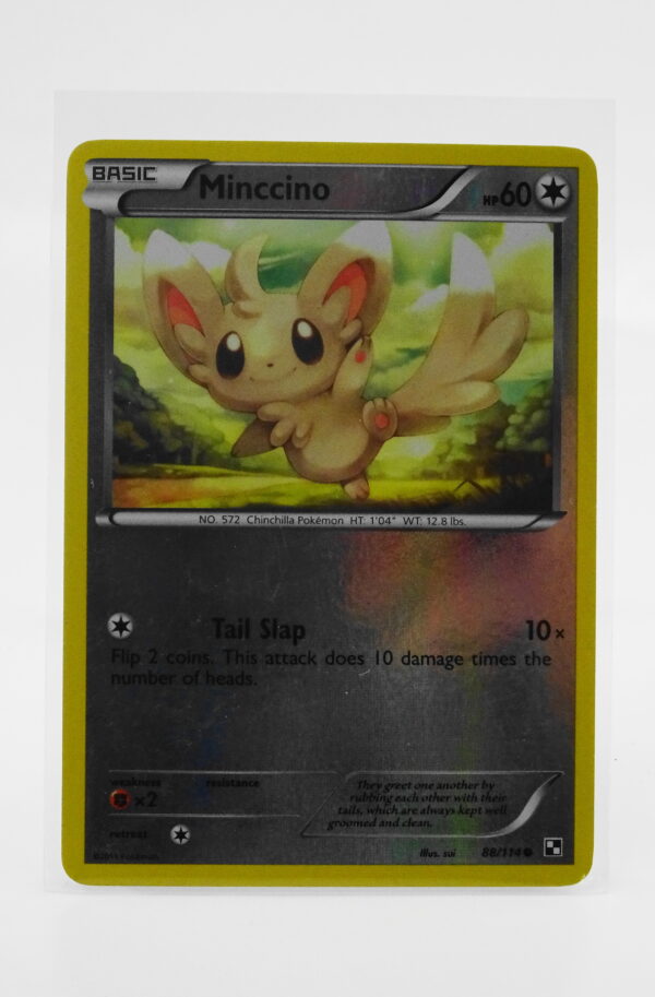 Minccino Holo 88/114