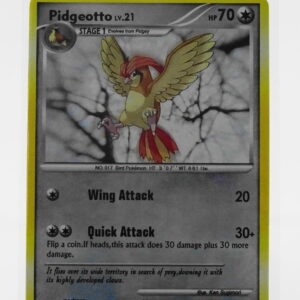 Pidgeotto 58/132