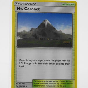 Trainer Mt. Coronet 130/156