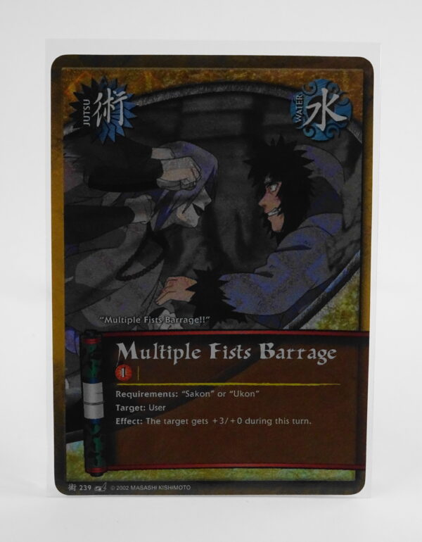 Multiple Fists Barrage 239